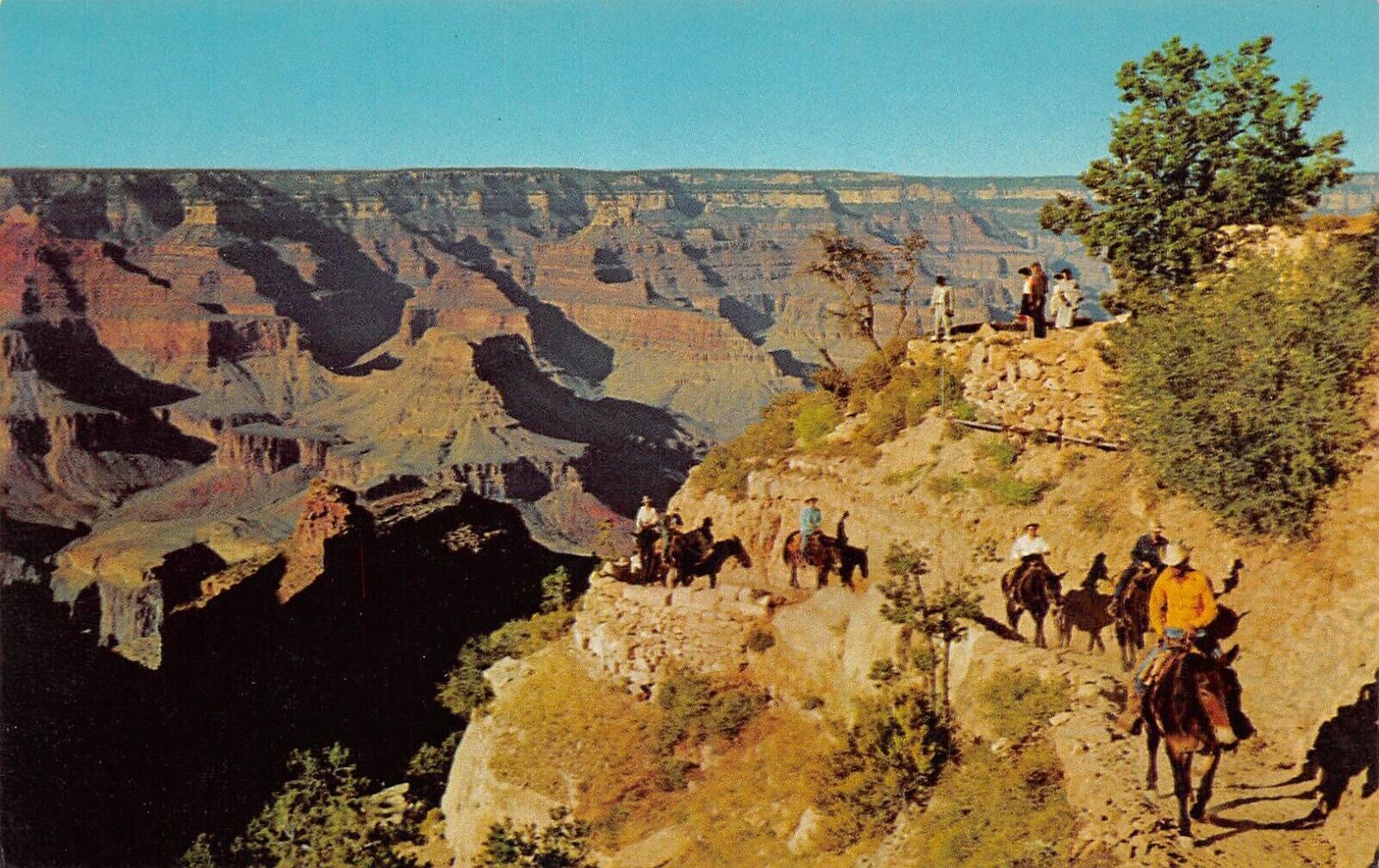Head of Bright Angel Trail Grand Canyon Arizona AZ Postcard 5174