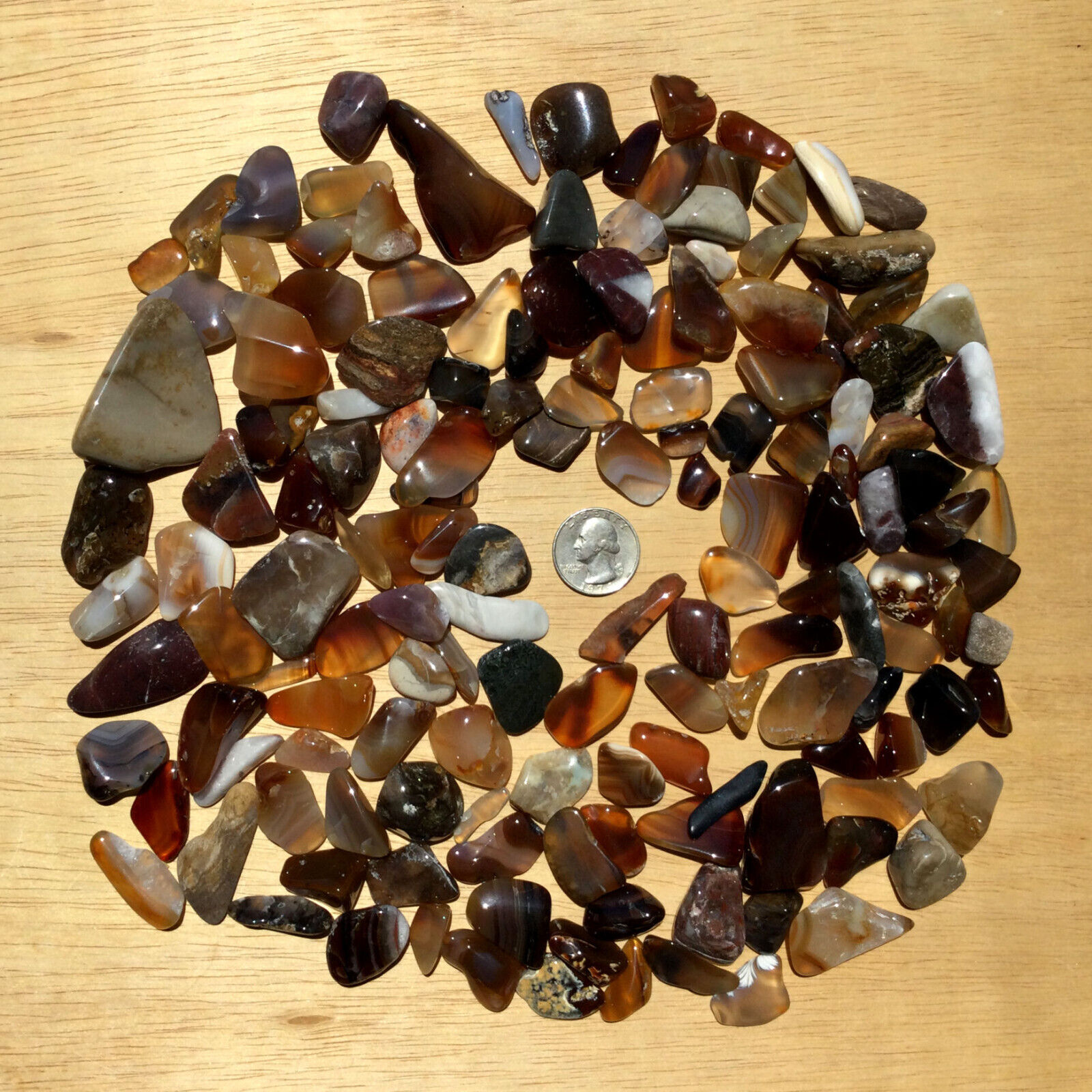 1.5 LB Lot Polished Stones Crystals Minerals Mixed Tumbled Rocks Natural Colors