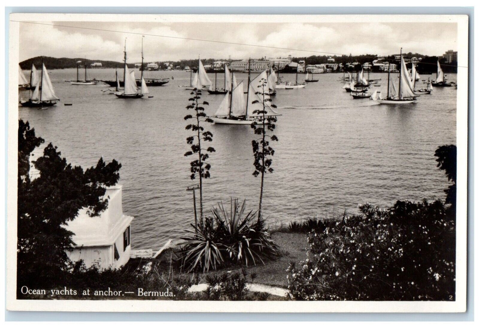 c1910's Ocena Yachts At Anchor Bermuda Unposted Antique RPPC Photo Postcard