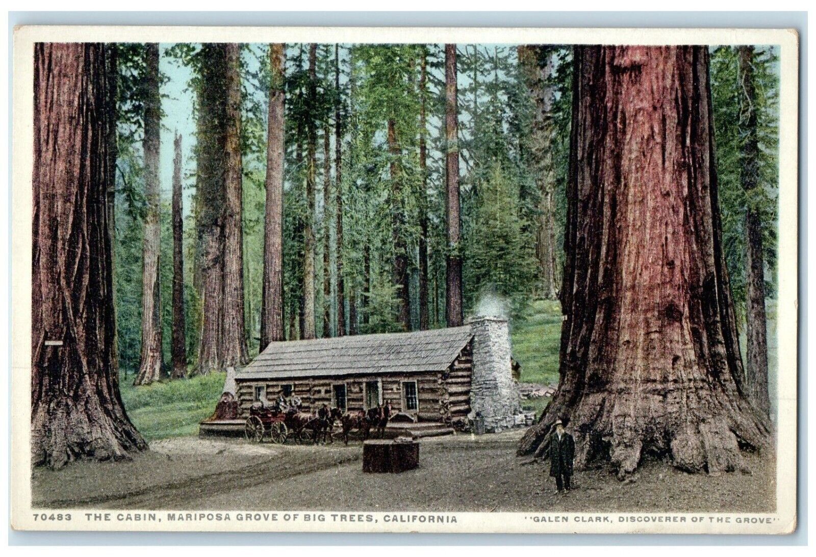 c1920 Cabin Mariposa Grove Exterior View Big Trees California Vintage Postcard