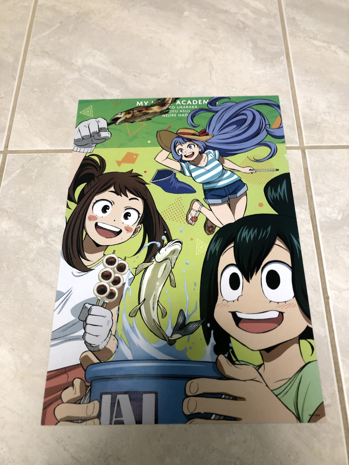 Anime ~ My Hero Academia Poster  (16.5x11.5)