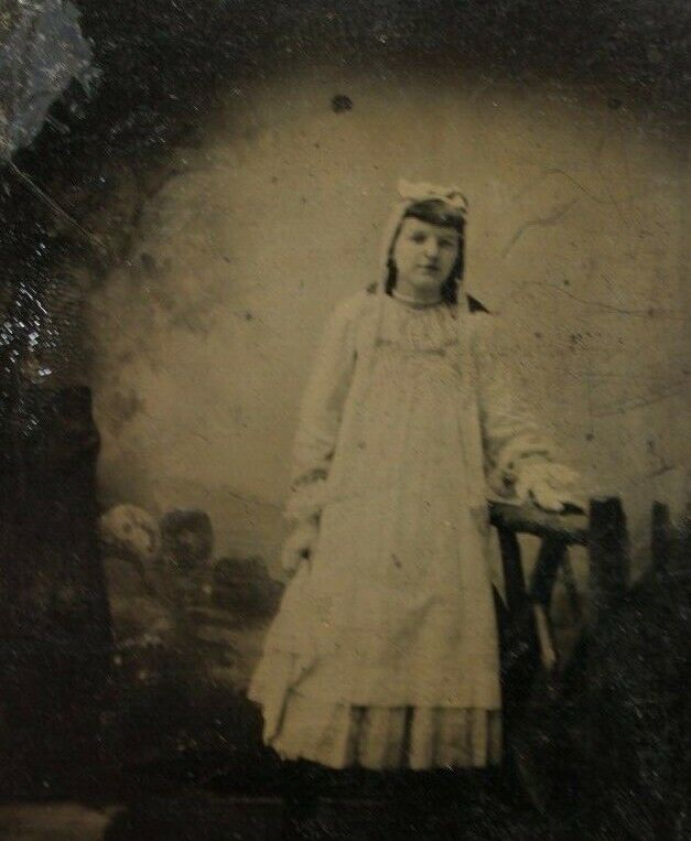 c1880s Tintype Angelic Young Woman Girl By Fence Rural Painted Backdrop T47