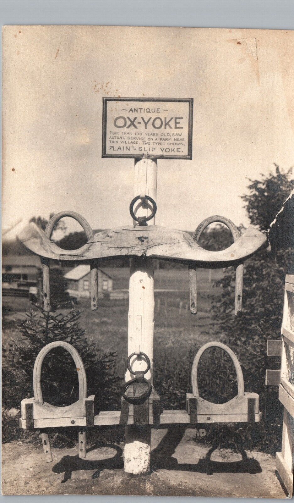 ANTIQUE OX-YOKE real photo postcard rppc farm wagon