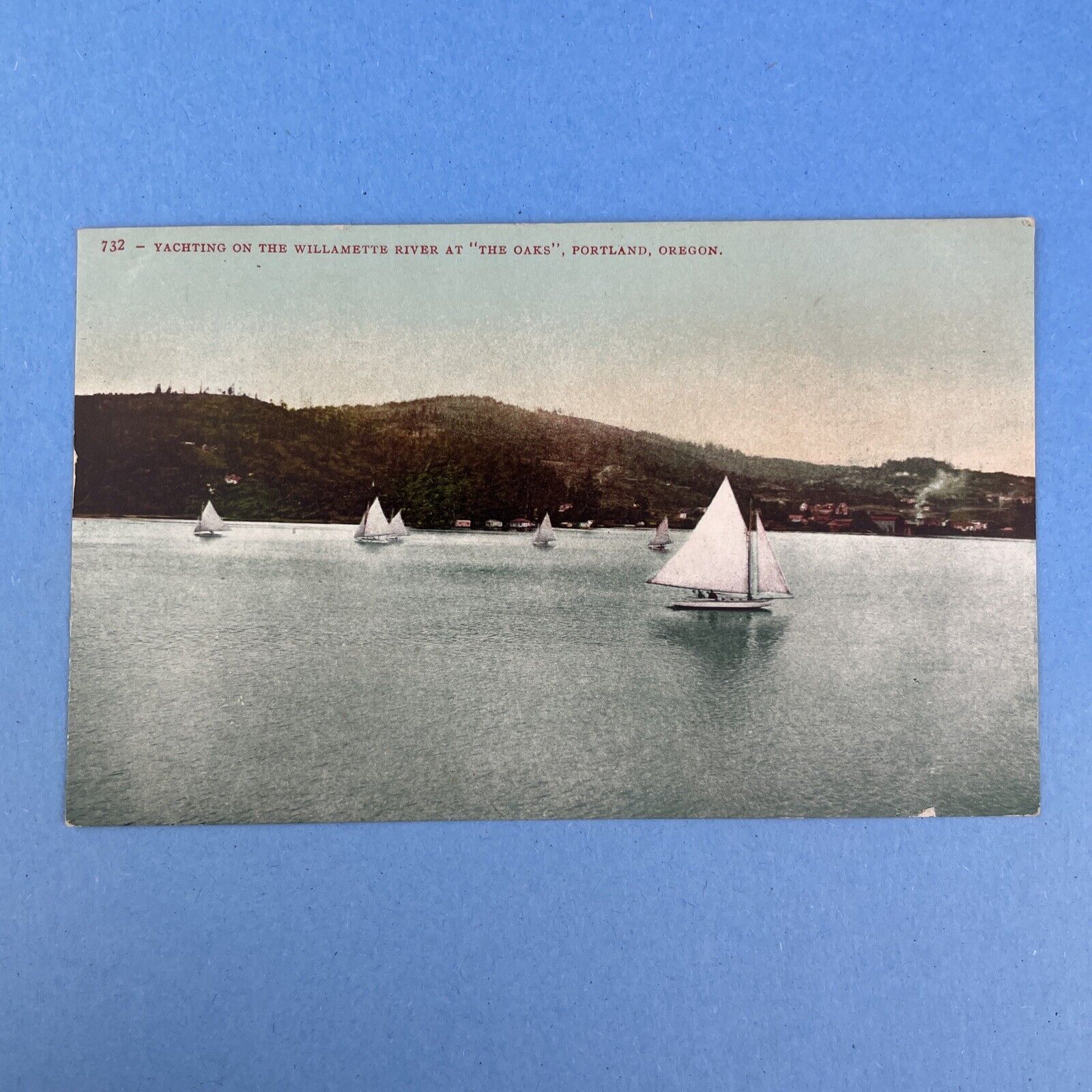 Vtg Postcard Yachting on the Willamette River at \