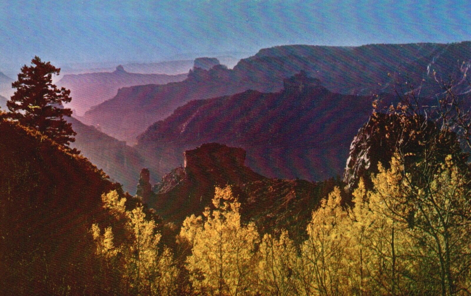 Postcard AZ Grand Canyon National Park from Point Imperial Vintage PC f5859