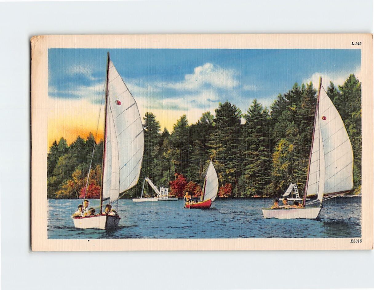 Postcard Three Boats Sailing on the Lake