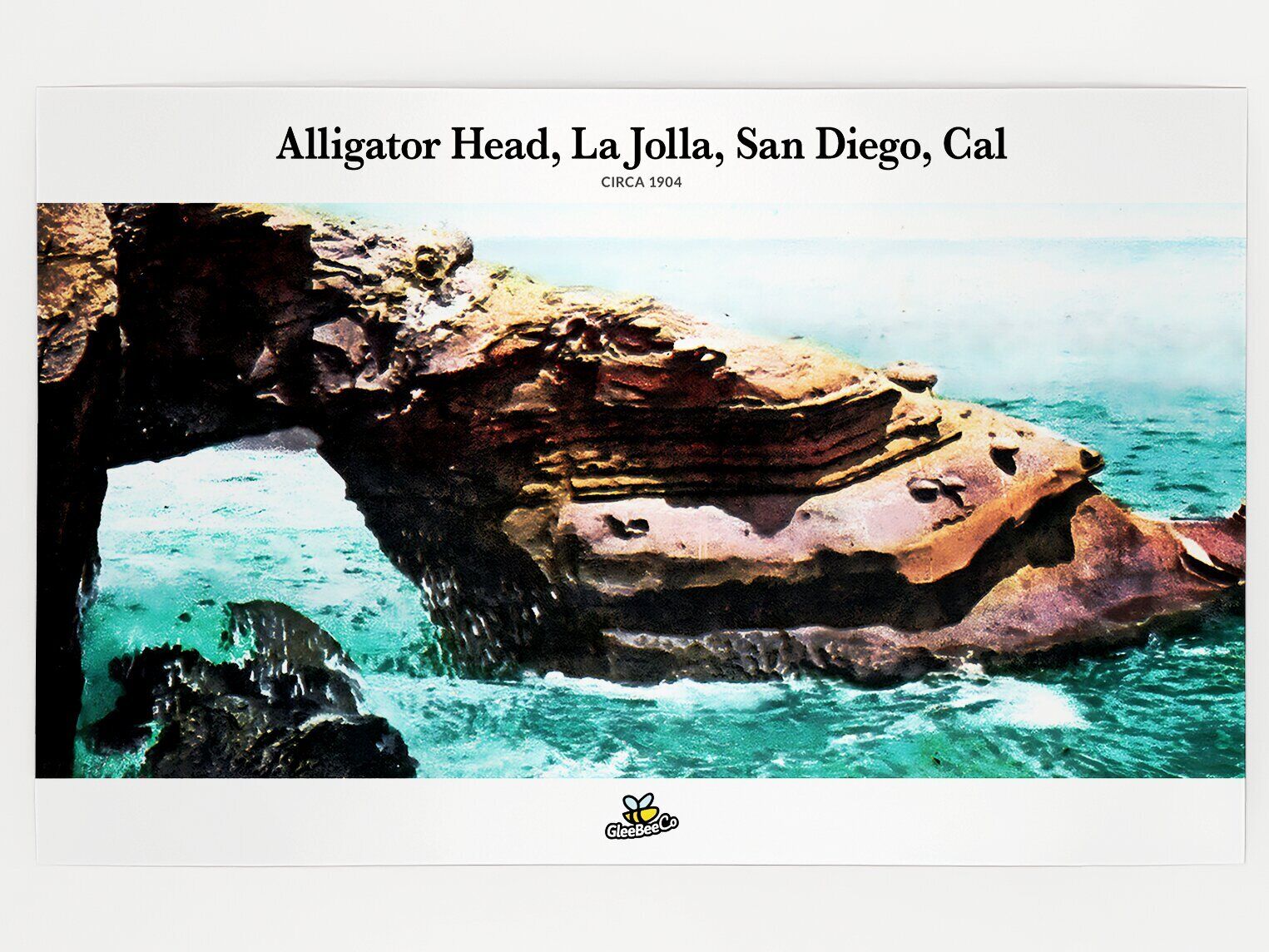 Alligator Head, La Jolla, San Diego, Cal circa 1904 Postcard [METALLIC LUSTER]