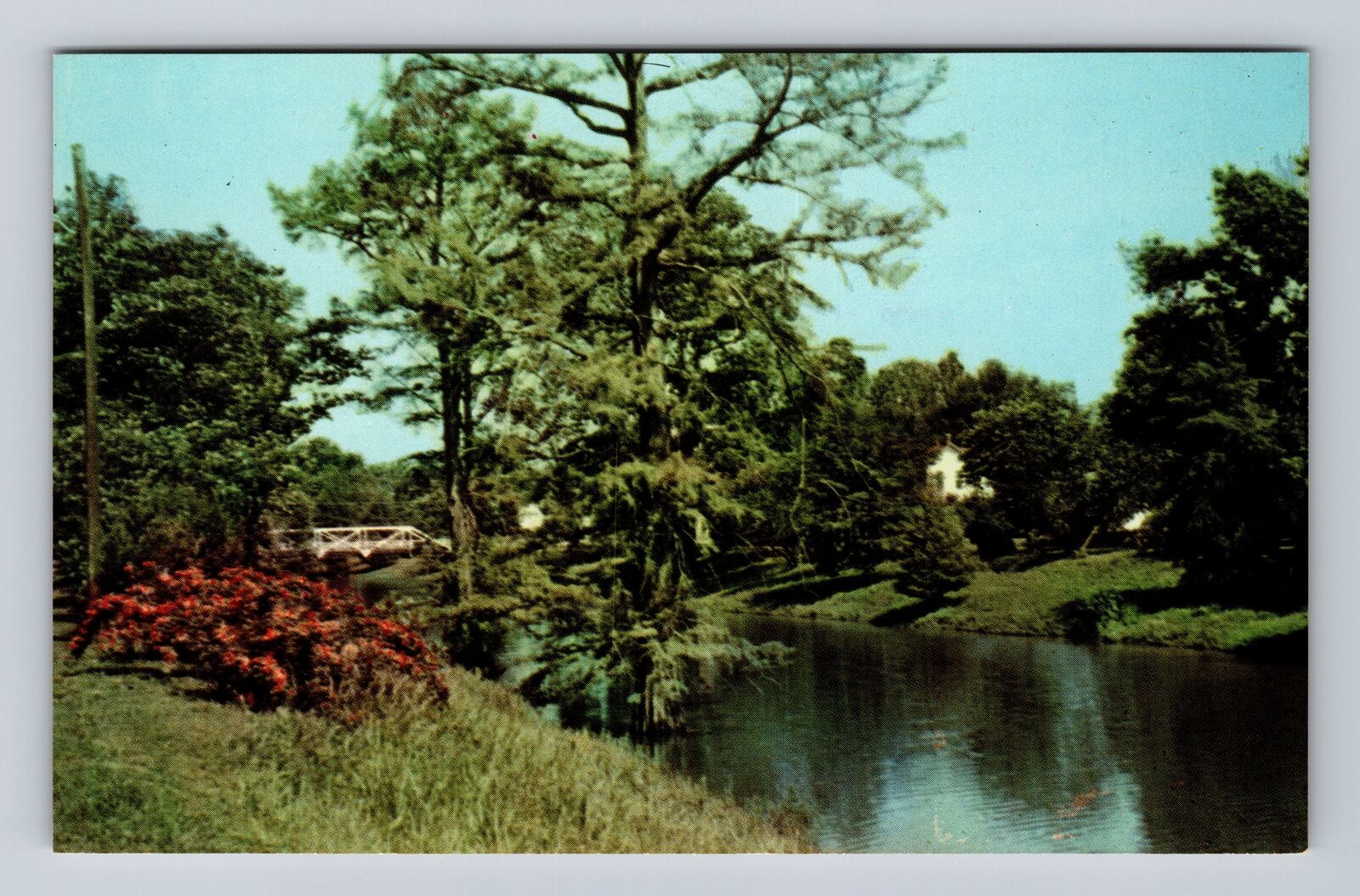 Leland MS-Mississippi, Scenic Views Deer Creek, Antique Vintage Postcard