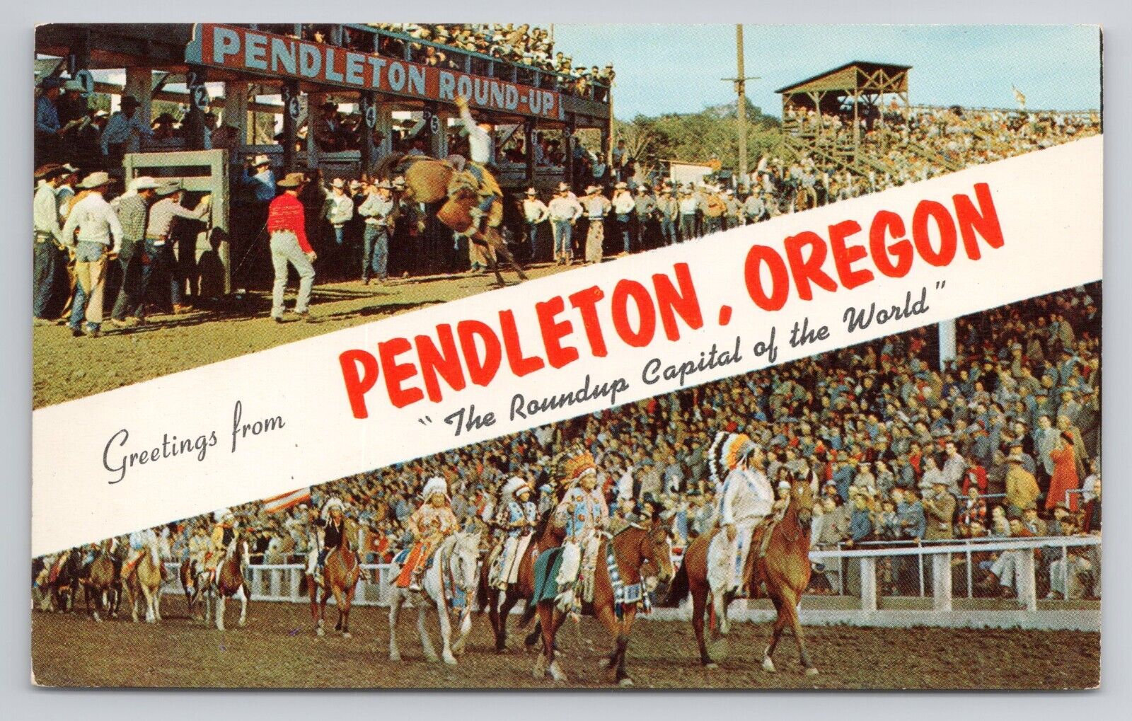 Postcard Greetings From Pendleton Oregon The Roundup Capital Of The World