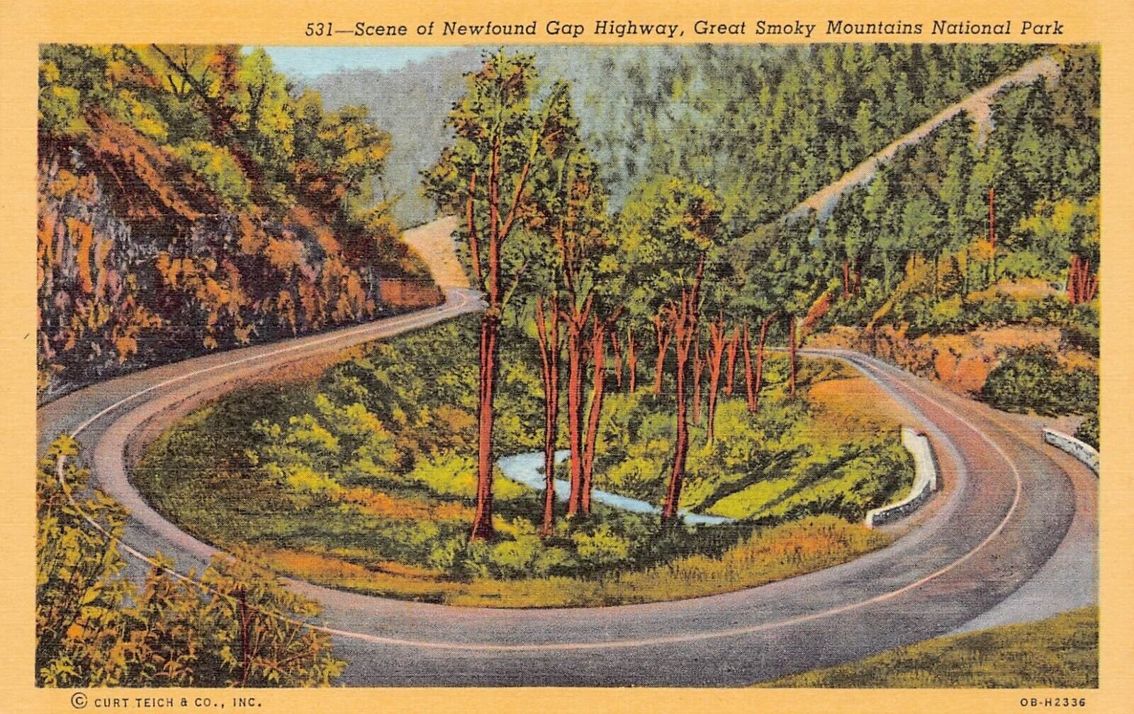 Asheville NC North Carolina Newfound Gap Great Smoky Mountains Vtg Postcard A13