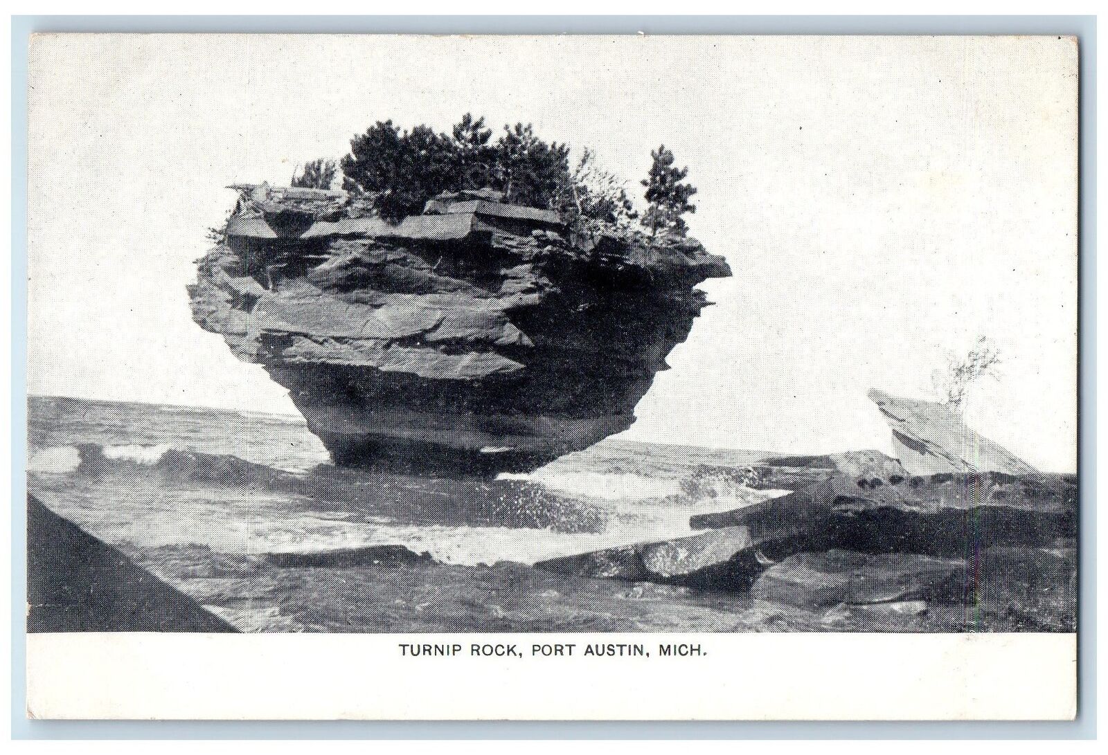c1940s Turnip Rock Trees Scene Port Austin Michigan MI Unposted Vintage Postcard