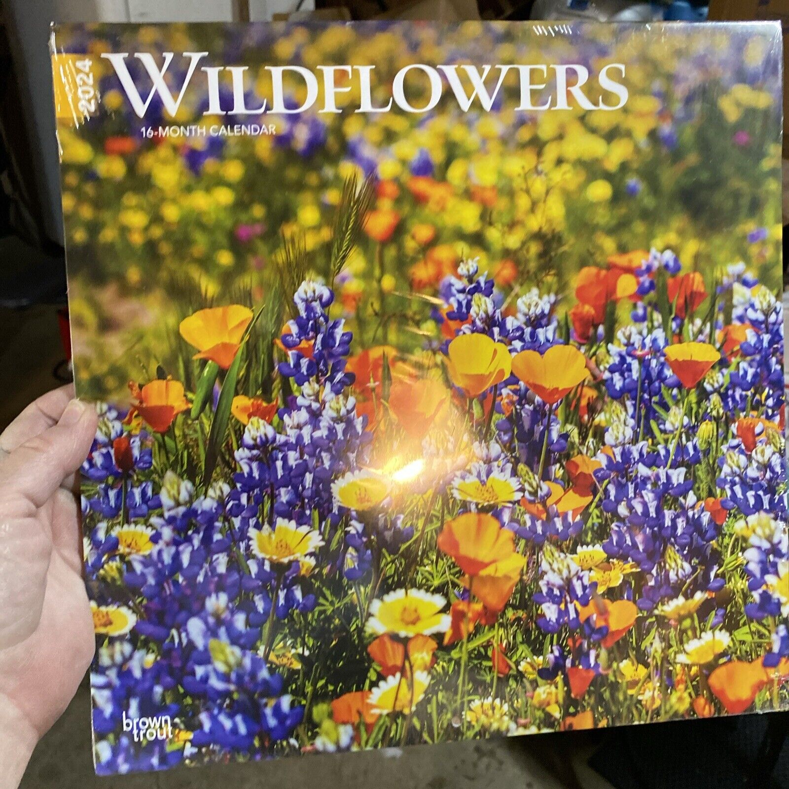 3 Browntrout,  Wildflowers Country Garden ,hummingbird 2024 Wall Calendars
