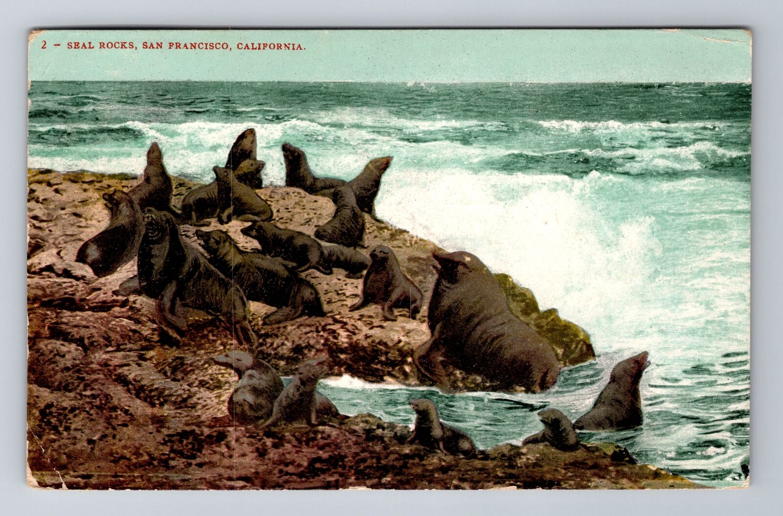 San Francisco CA-California, Seal Rocks, c1908 Antique Vintage Souvenir Postcard