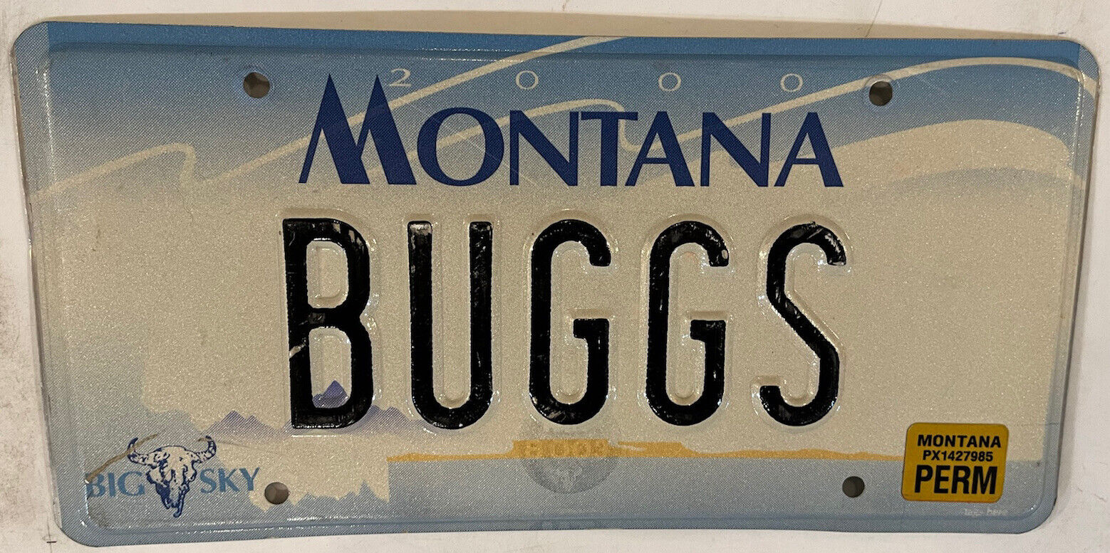 Vanity BUGGS BUGS license plate Bunny Cartoon Life Insect Bugsy Buggy Bugging MT