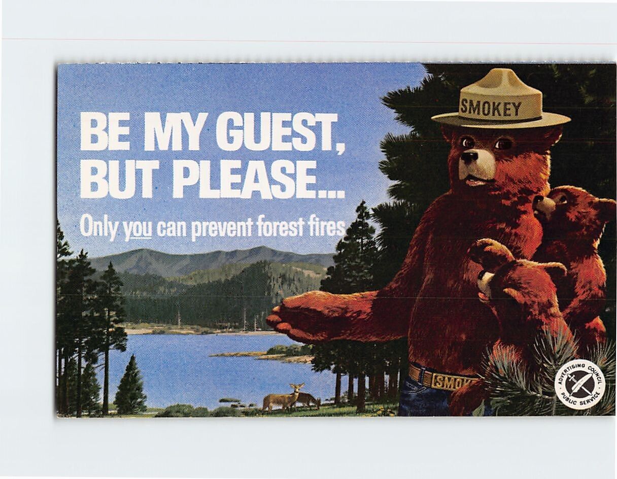 Postcard Smokey Bear Be My Guest But Please Only You Can Prevent Forest Fires