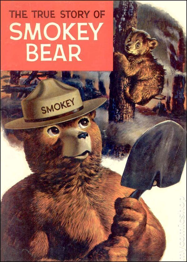 Smokey Bear 1964 VG/FN 5.0 Stock Image Low Grade