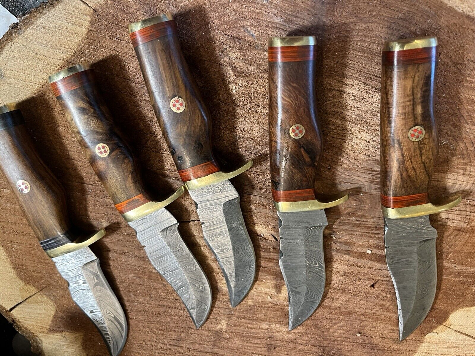 5 Walnut 6  inches  Damascus Special Bowie Knives With Leather Sheath