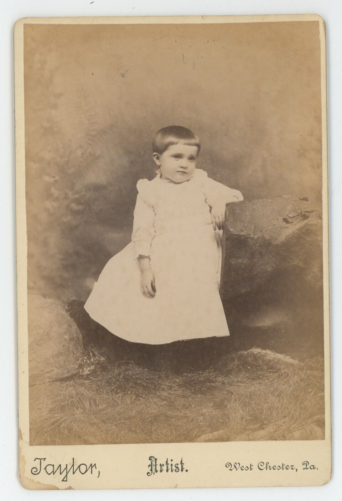 Antique c1880s Cabinet Card Adorable Child in Dress Taylor Wests Chester, PA