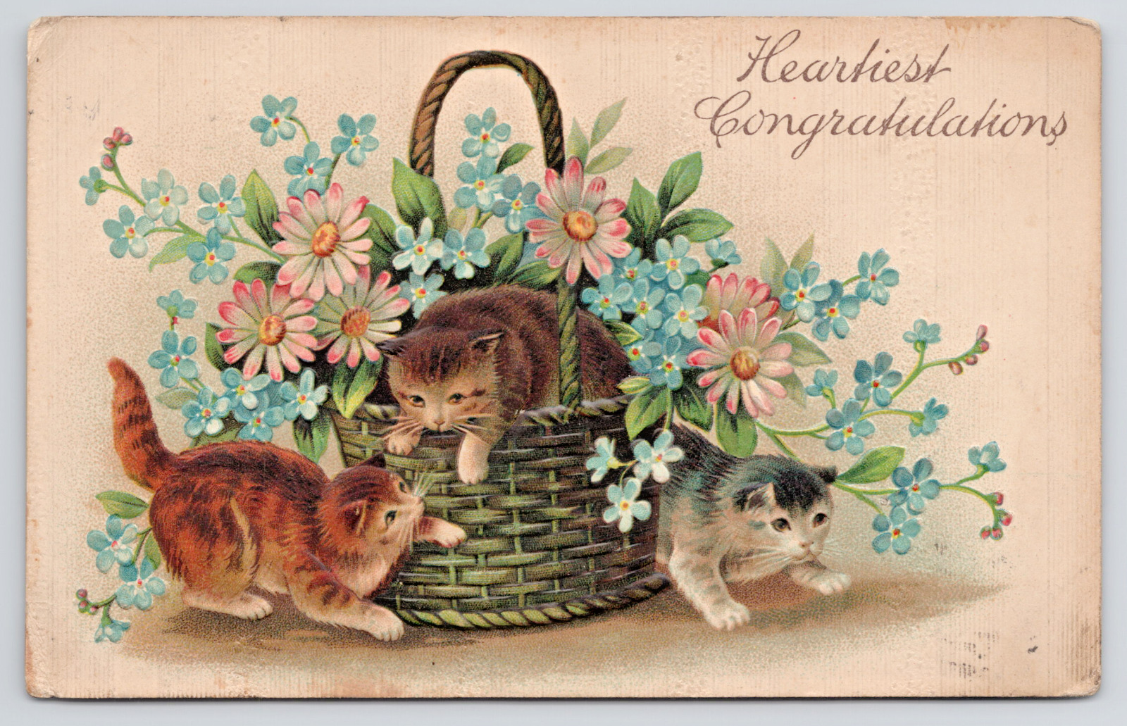 Kittens Kitty Cat Cats in a Floral Flower Basket Antique Postcard c. 1910s