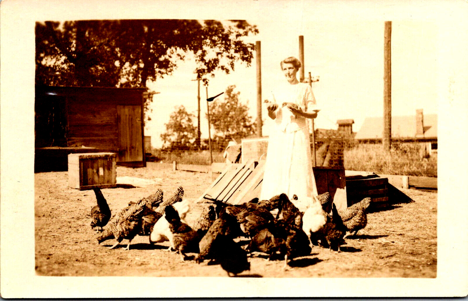Antique RPPC Real Photo  Postcard Cora Donner and her chickens Farm