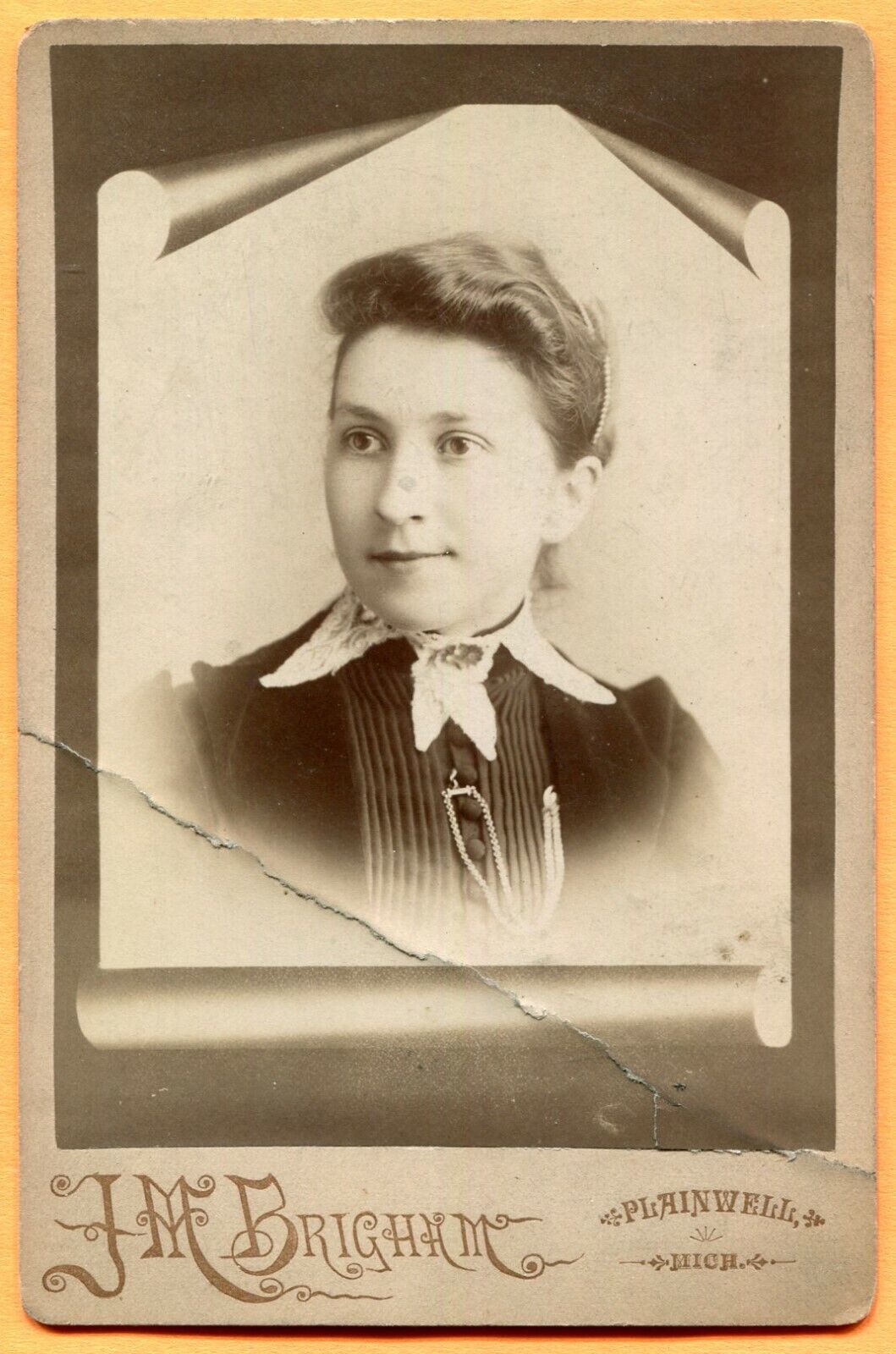Plainwell, MI, Portrait of a Young Woman, by Brigham, circa 1890s