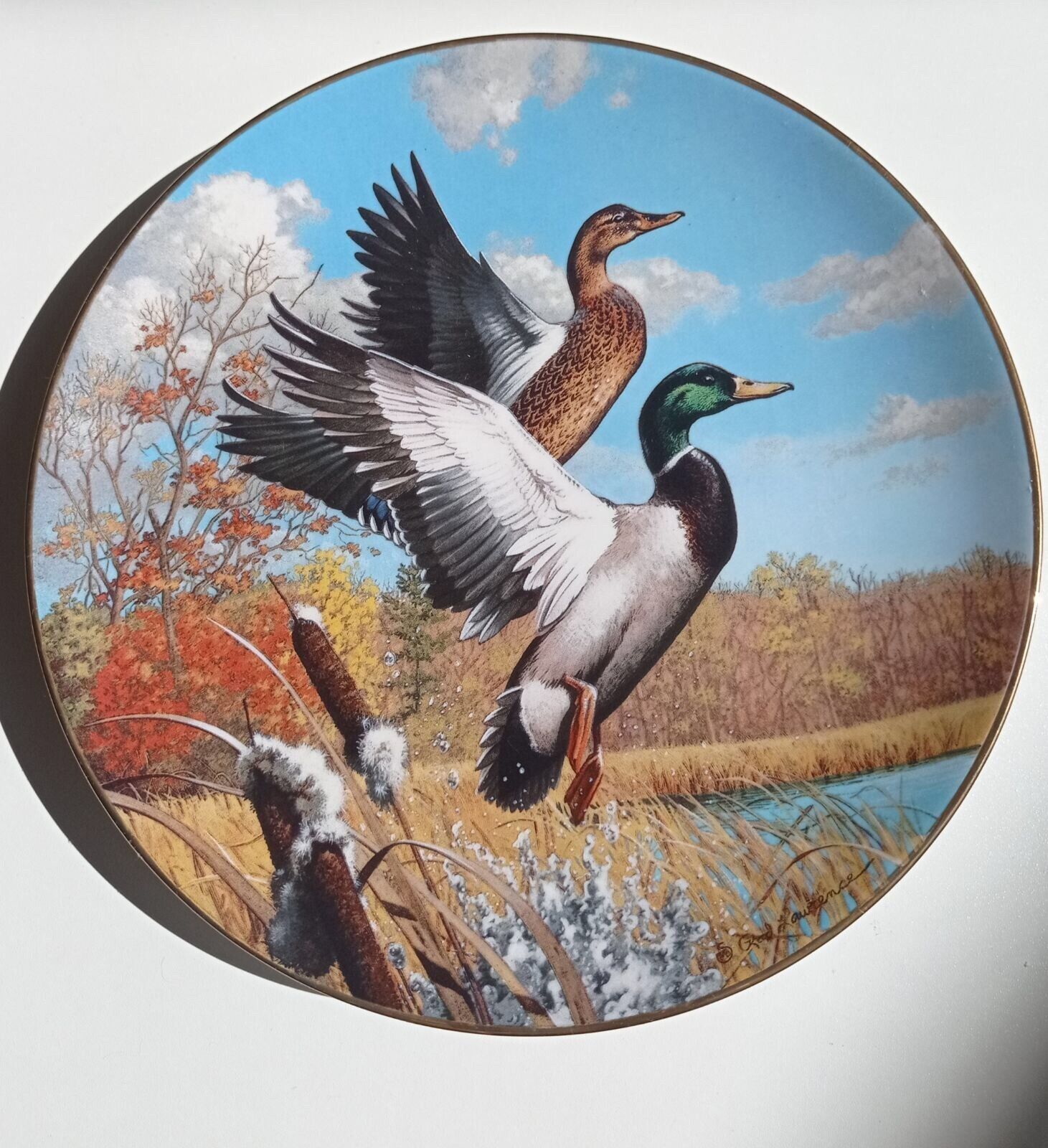 North American Ducks Plate Collection “AUTUMN FLIGHT\