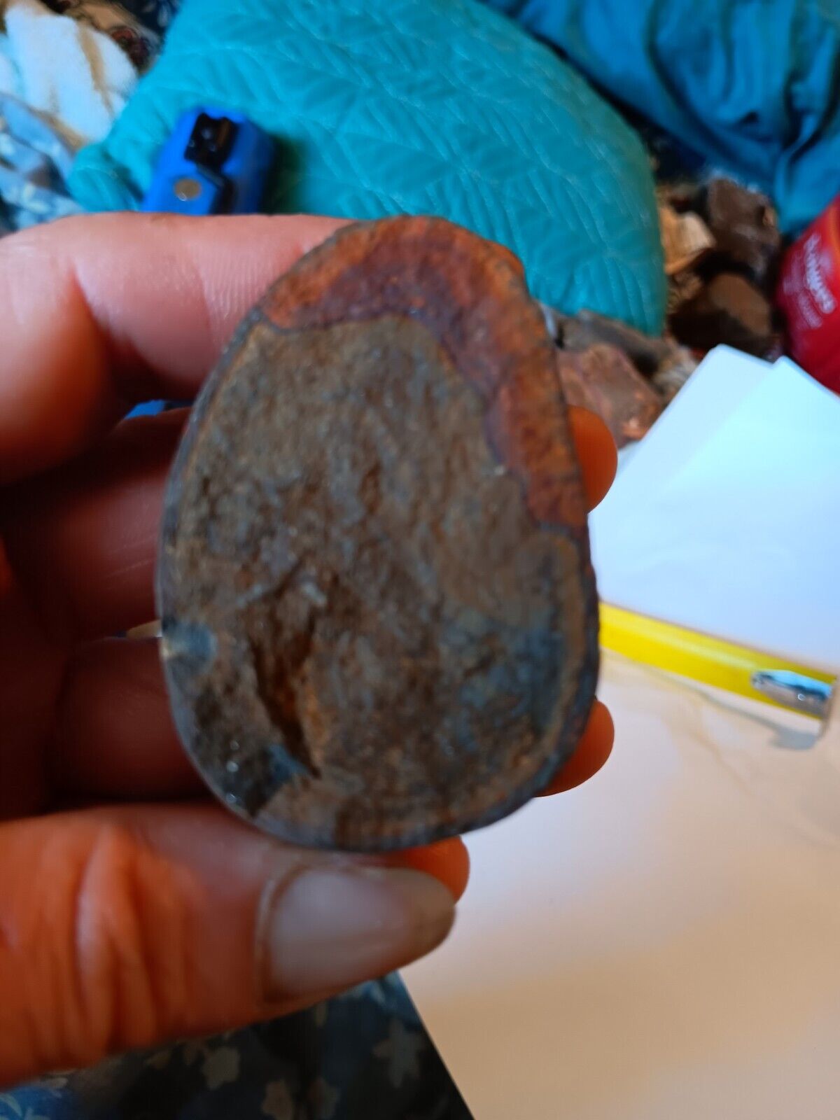 Unique Rock Looks Like A Fossilized Egg Kinda Neat