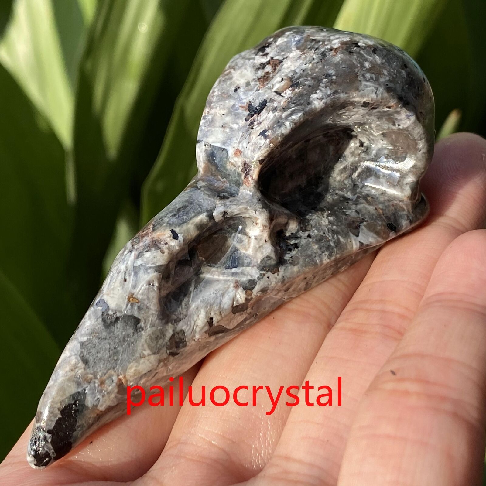 1p Natural Yooperite Flame\'s Stone Crow Skull Quartz Crystal Carved Figurines 3\