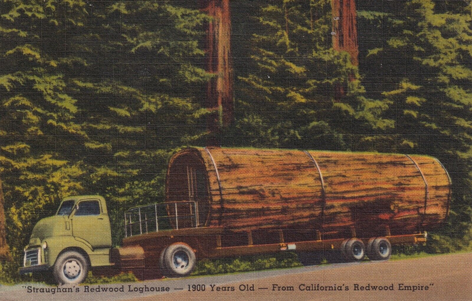 Vintage Linen Postcard - Straughan\'s Redwood Loghouse 1900 Years Old Redwood