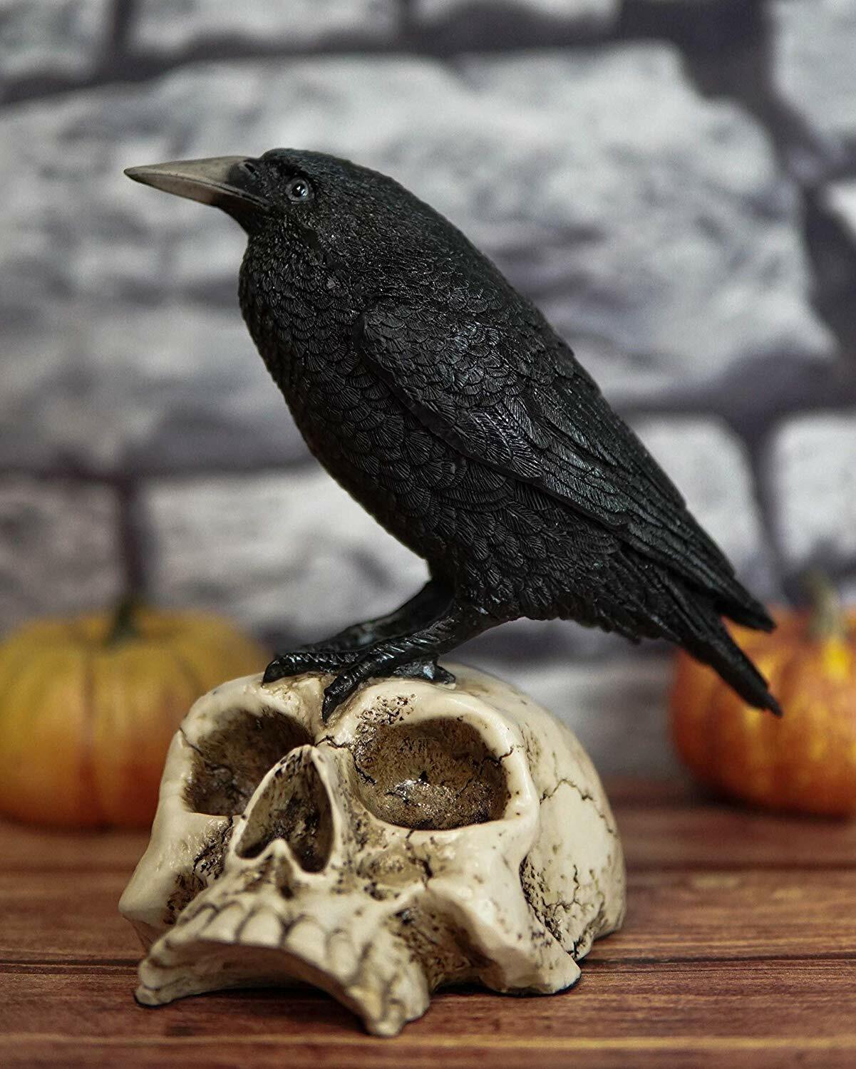 Ebros Gothic Raven Perching On Skull Statue 7.25\