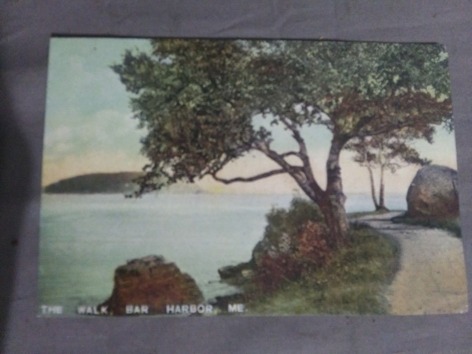 Bar Harbor Maine ME Vintage Postcard \