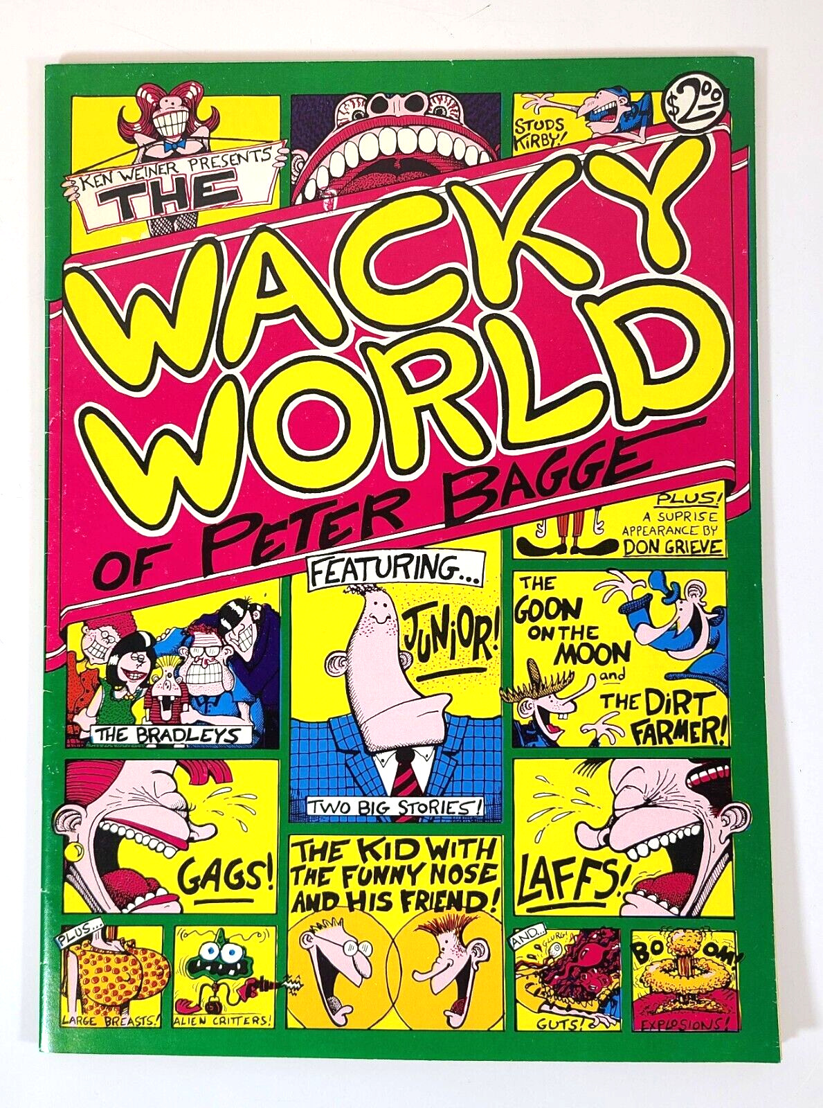 Ken Wiener Presents The Wacky World of  Peter Bagge - 1982