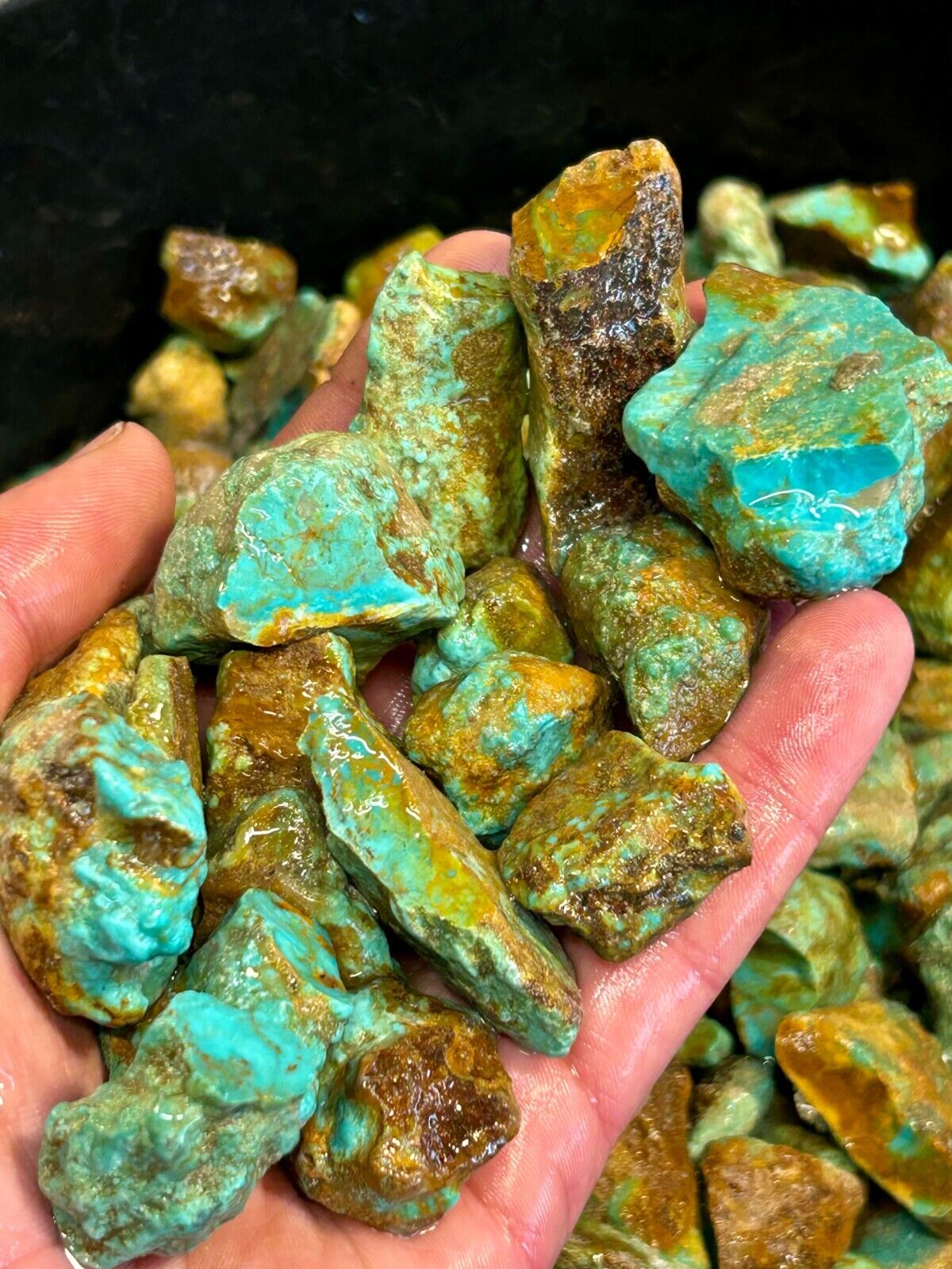 New Treasure Hunt Sample 1/3 LB of Arizona Turquoise Nugs #1 Seller's Pick
