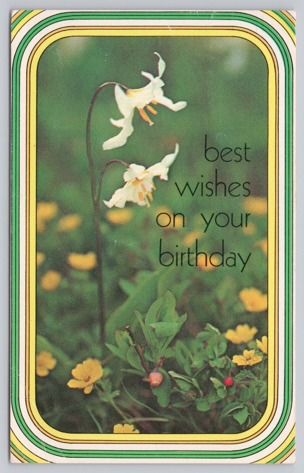 Best Wishes on Your Birthday, Pretty White & Yellow Flowers, Vintage Postcard