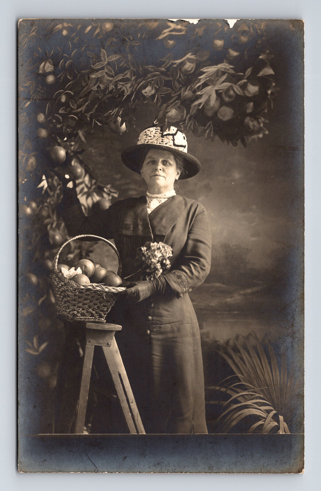1912 RPPC Distinguished Woman Picking Fruit Flowers Hat Los Angeles CA Postcard