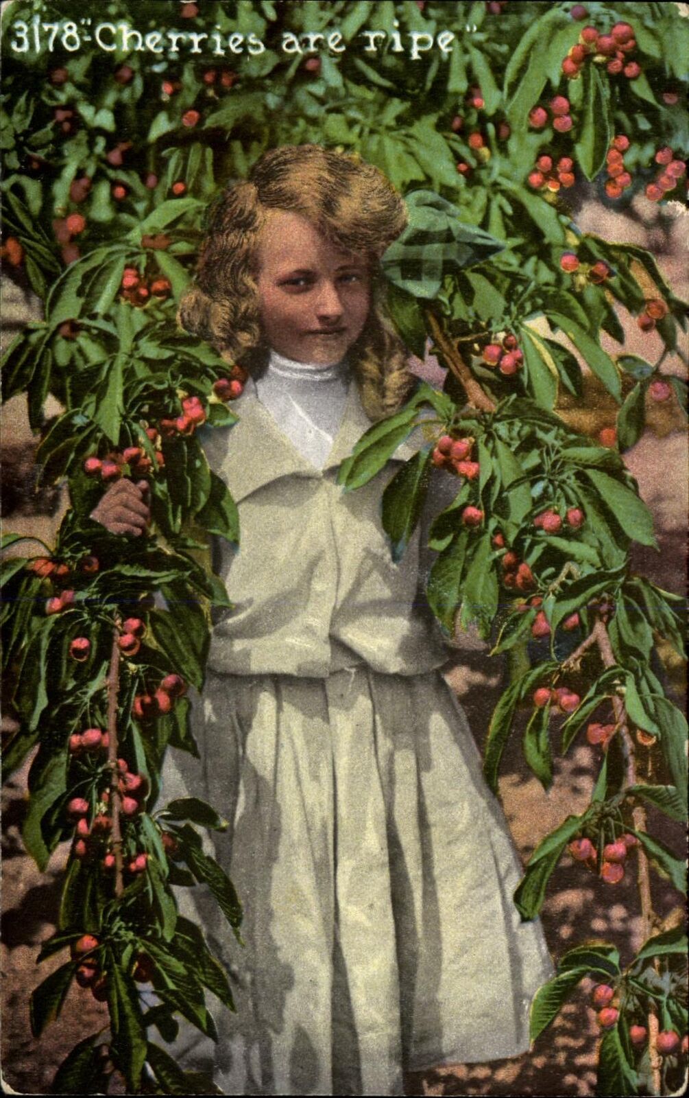 Cherries are Ripe ~ young girl sexual innuendo ~ Edward Mitchell Publ ~ c1910