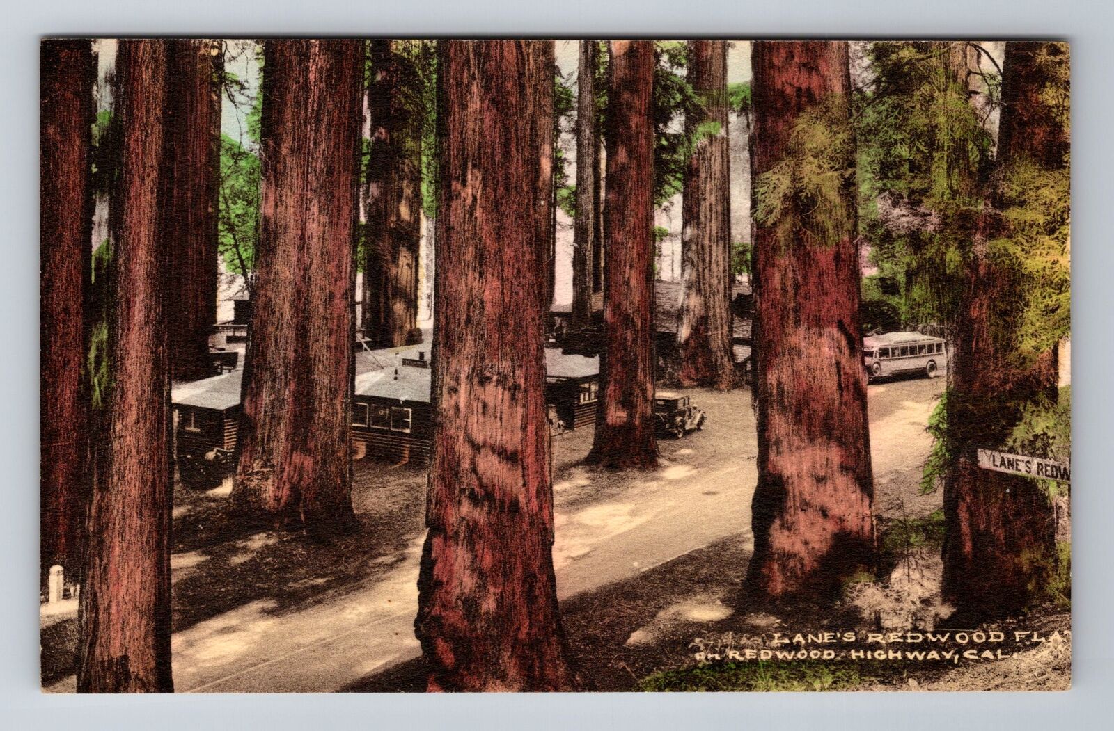 Leggett CA-California, Lane's Redwood Flat, Antique Vintage Souvenir Postcard