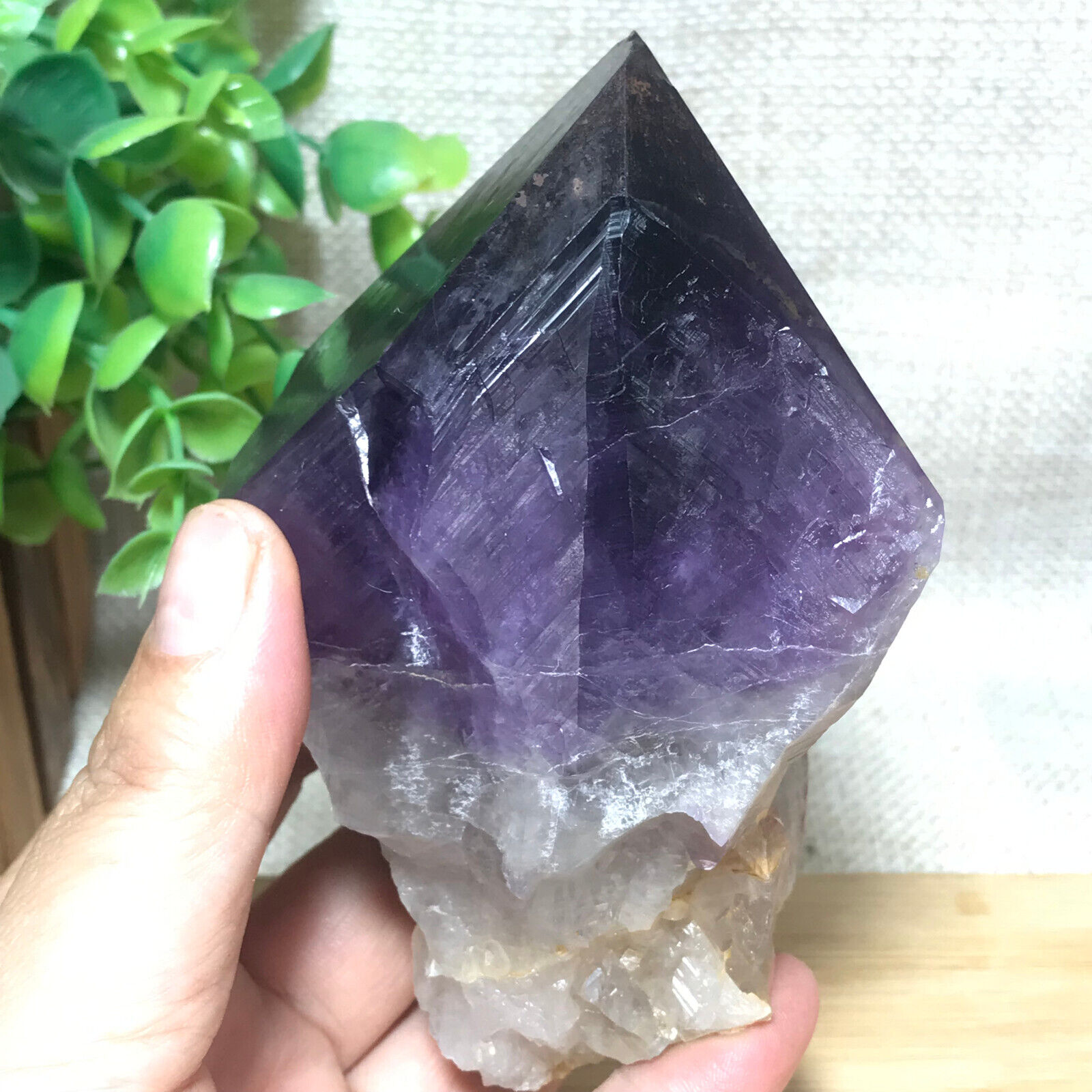 431g Natural Rough Amethyst Quartz Crystal Points Mineral Specimen Reiki Healing