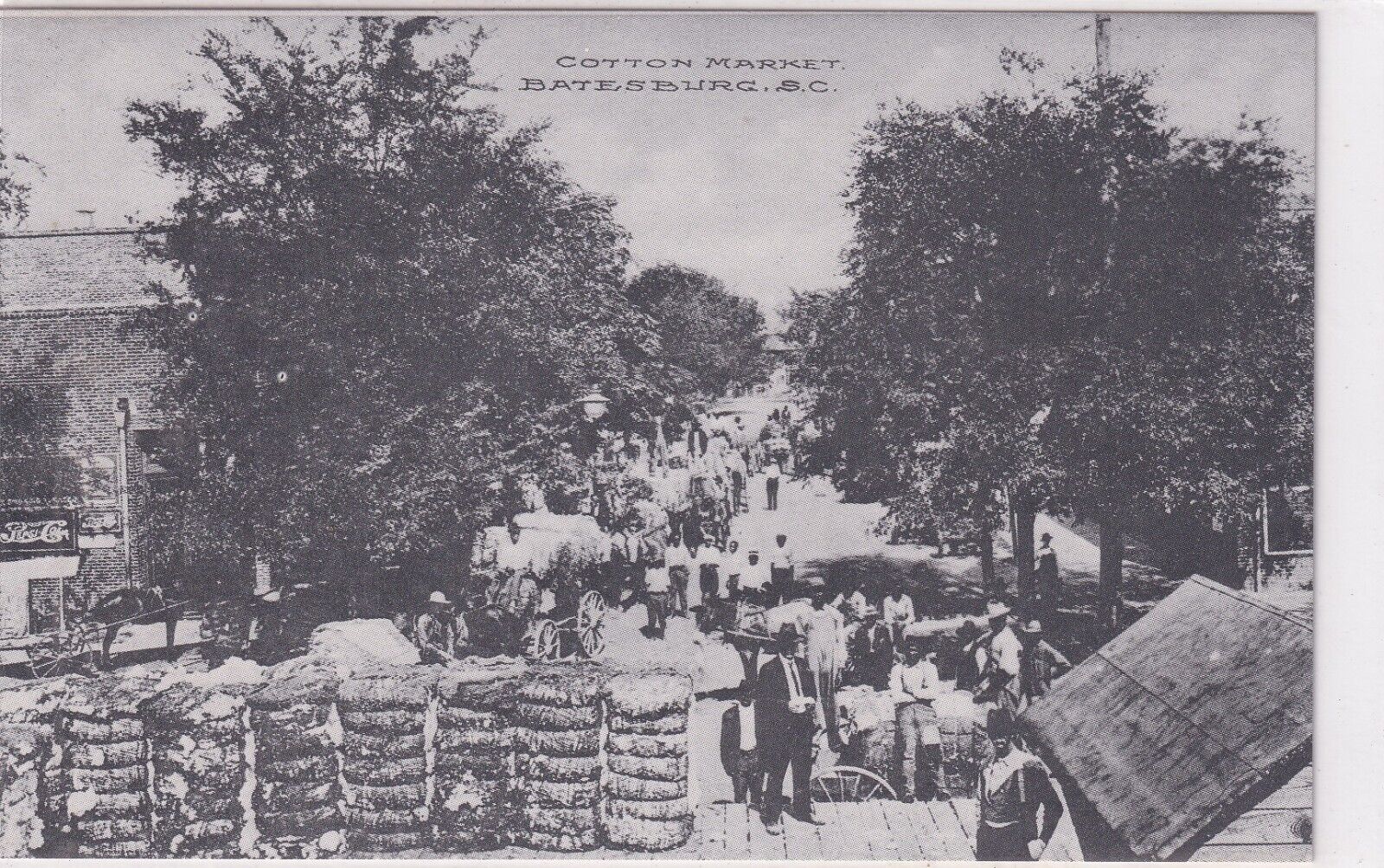 The Cotton Market, Batesburg S.C., Rare Vintage Post Card