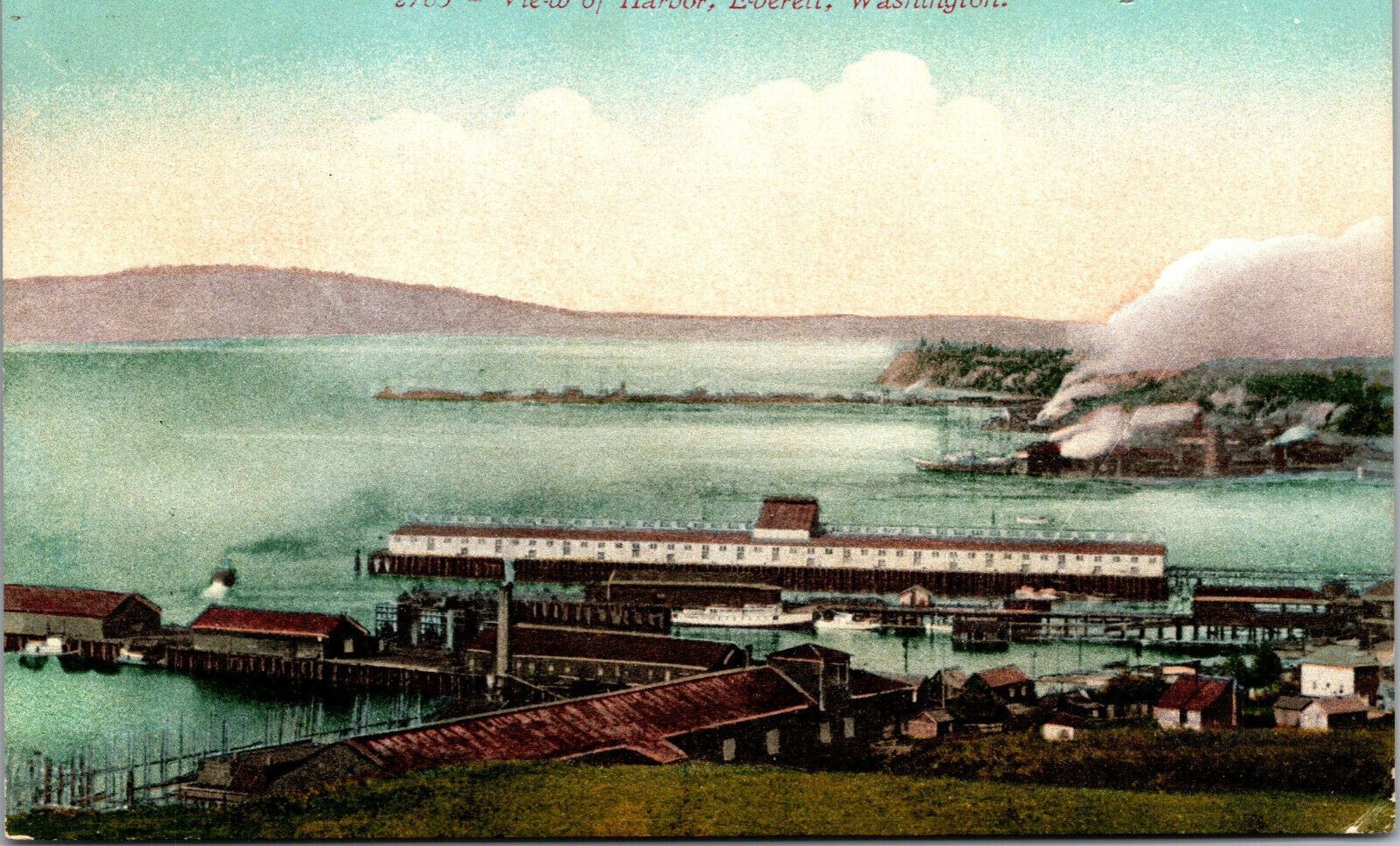 Vtg 1910s View of Harbor Boats Buildings Everett Washington WA Postcard