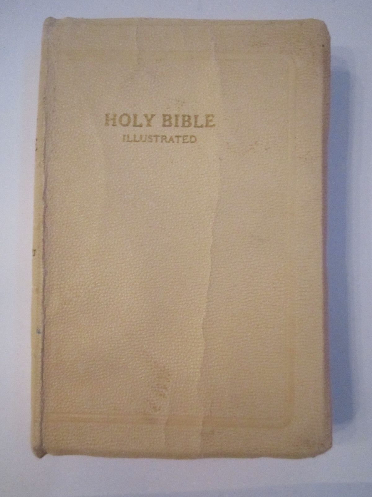 1966 KING JAMES VERSION WORLD BIBLE - NICE ILLUSTRATIONS - BN-12