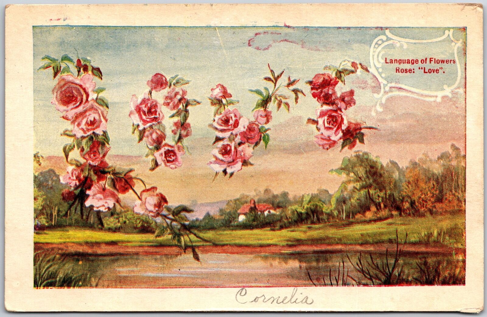 1909 Language of Flower Rose (Love) Landscapes Posted Postcard