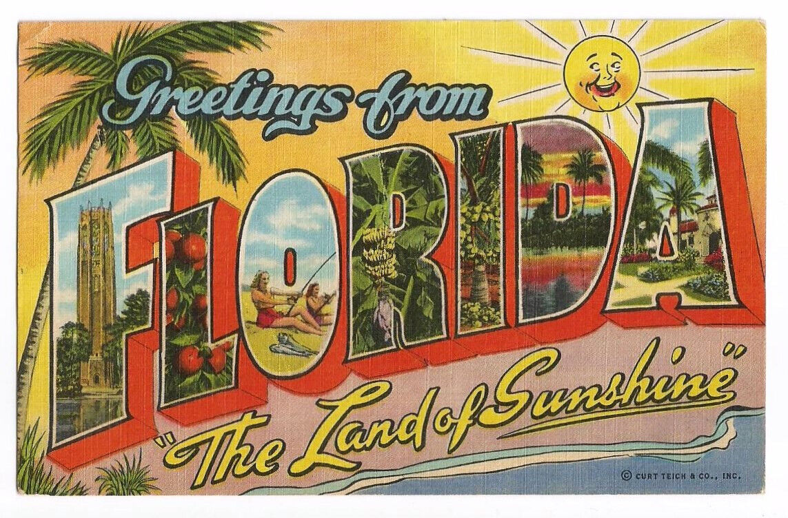 FL Postcard Florida Greetings LARGE LETTER Linen