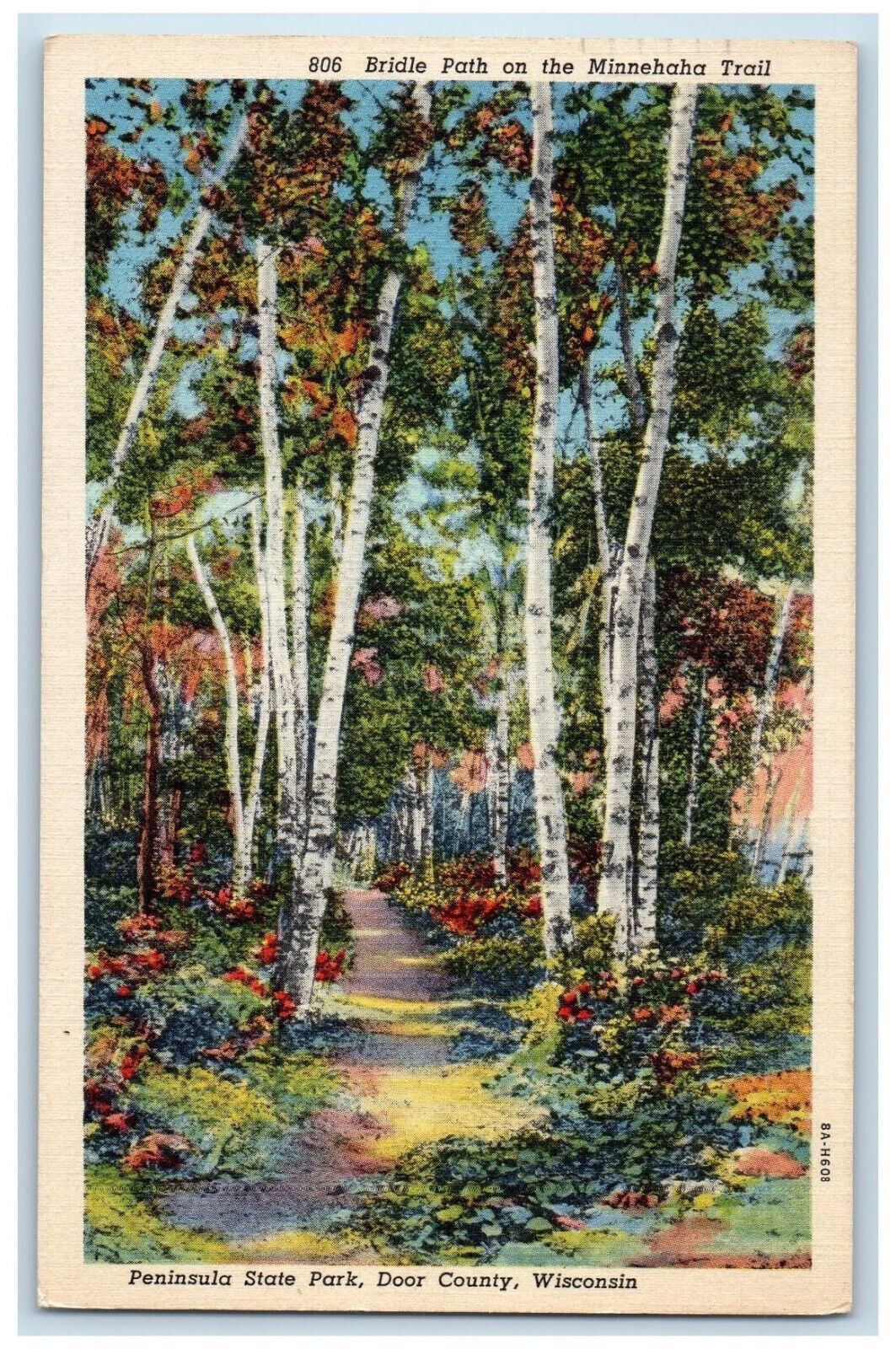 1939 Bridle Path on the Minnehaha Trail, Peninsula State Park, WI Postcard