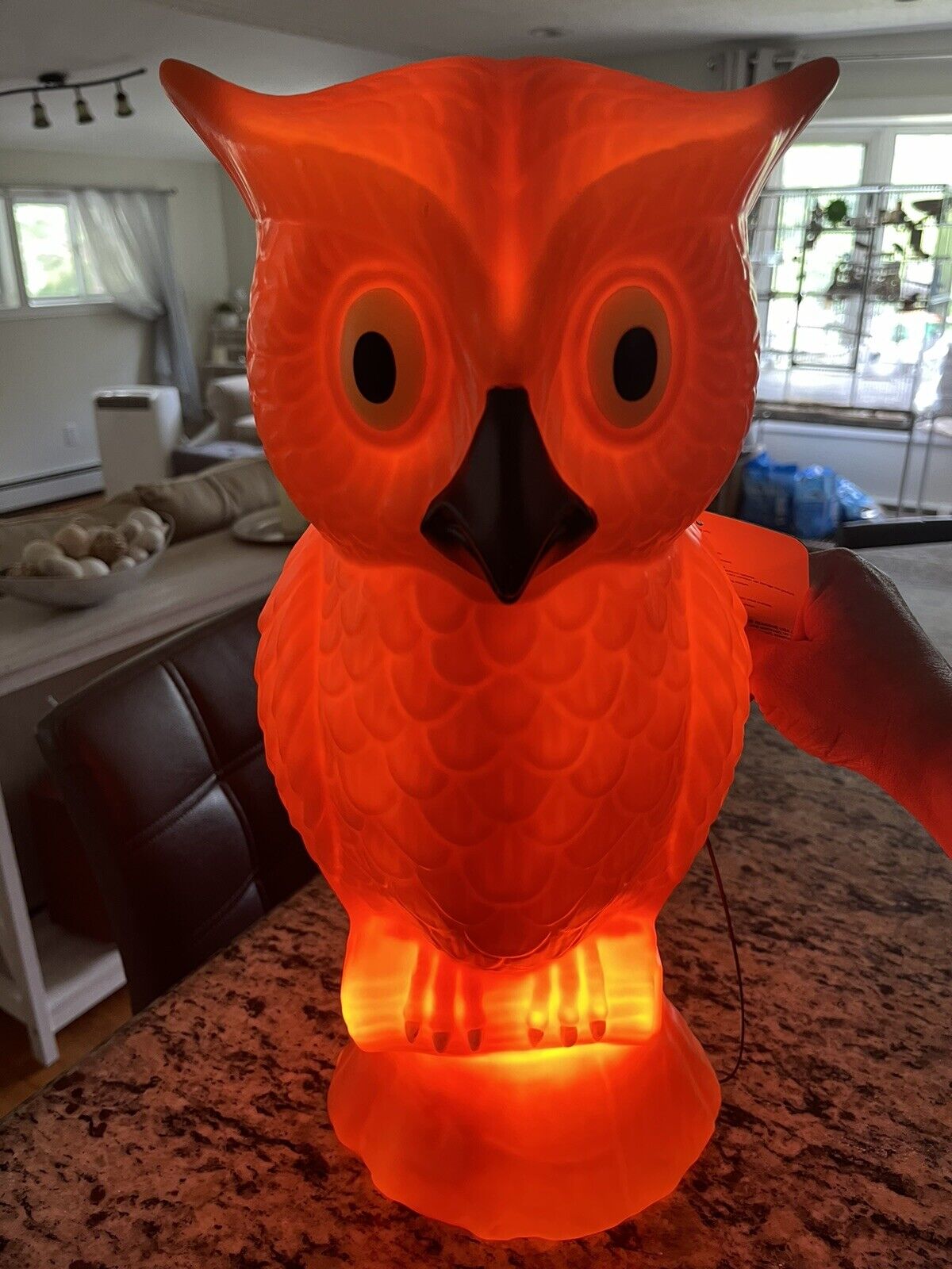Halloween Orange Owl Light Up Blow Mold