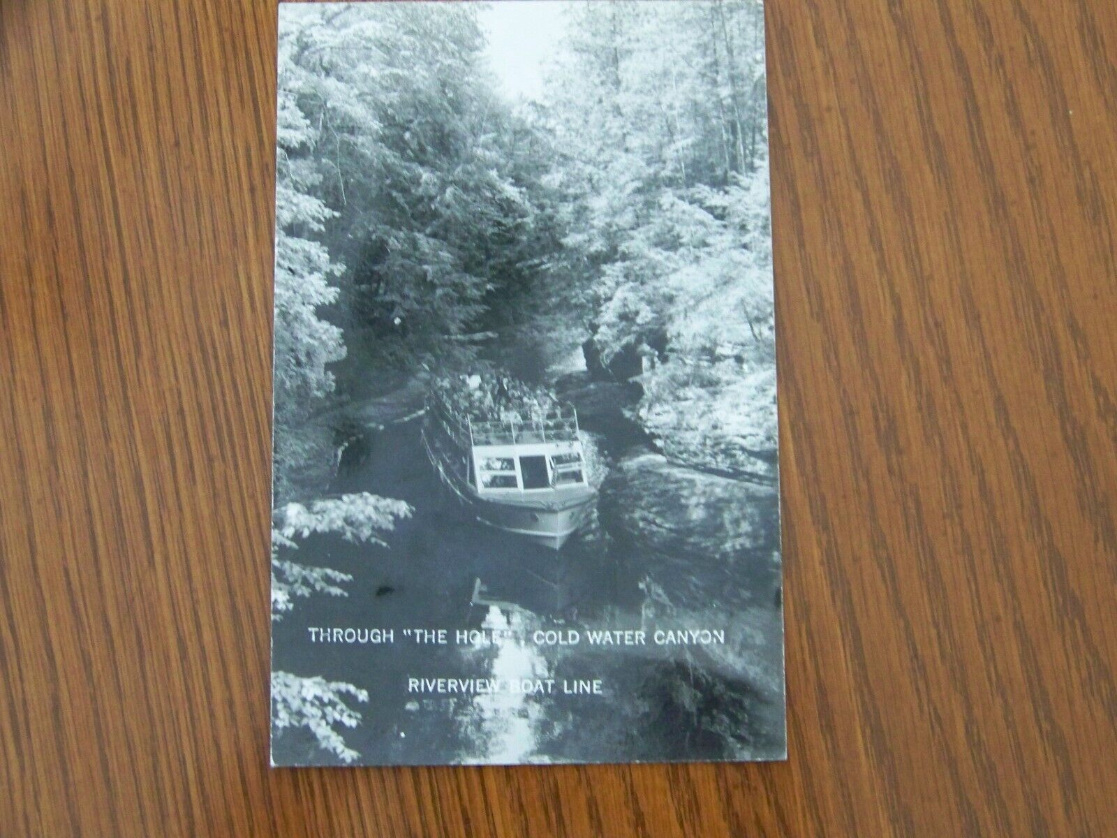 Cold Water Canyon Wisconsin WI RPPC Real Photo Riverview Boat Line