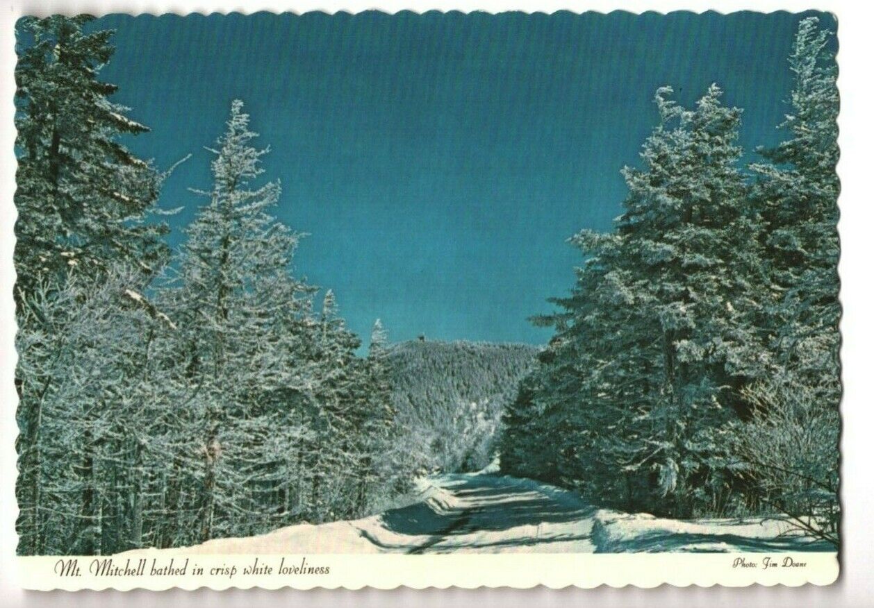 1971 Postcard Mt. Mitchell NC North Carolina Blue Ridge Parkway Snow Scene