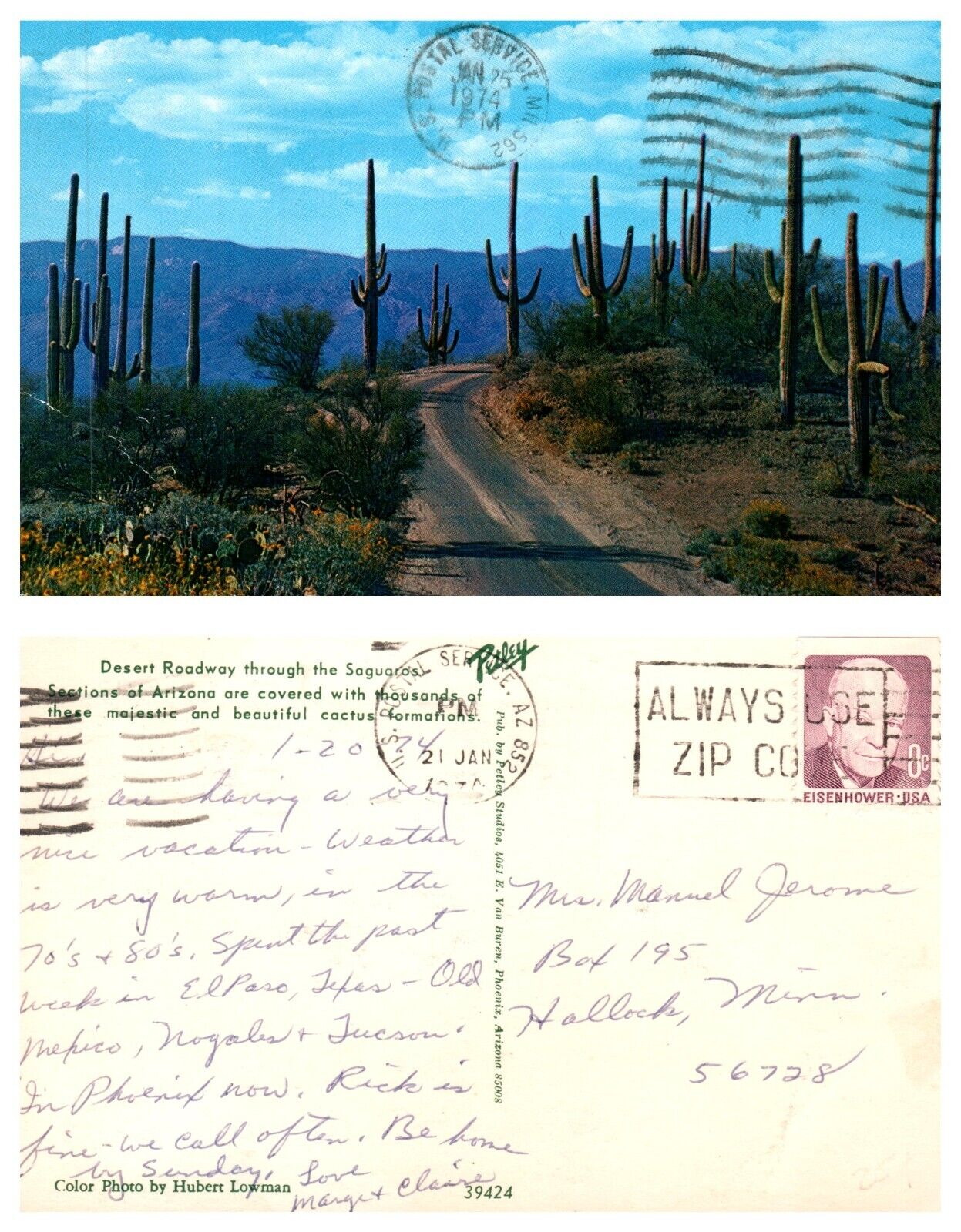 Desert Roadway through Saguaro Arizona Vintage Chrome PC Posted 1974
