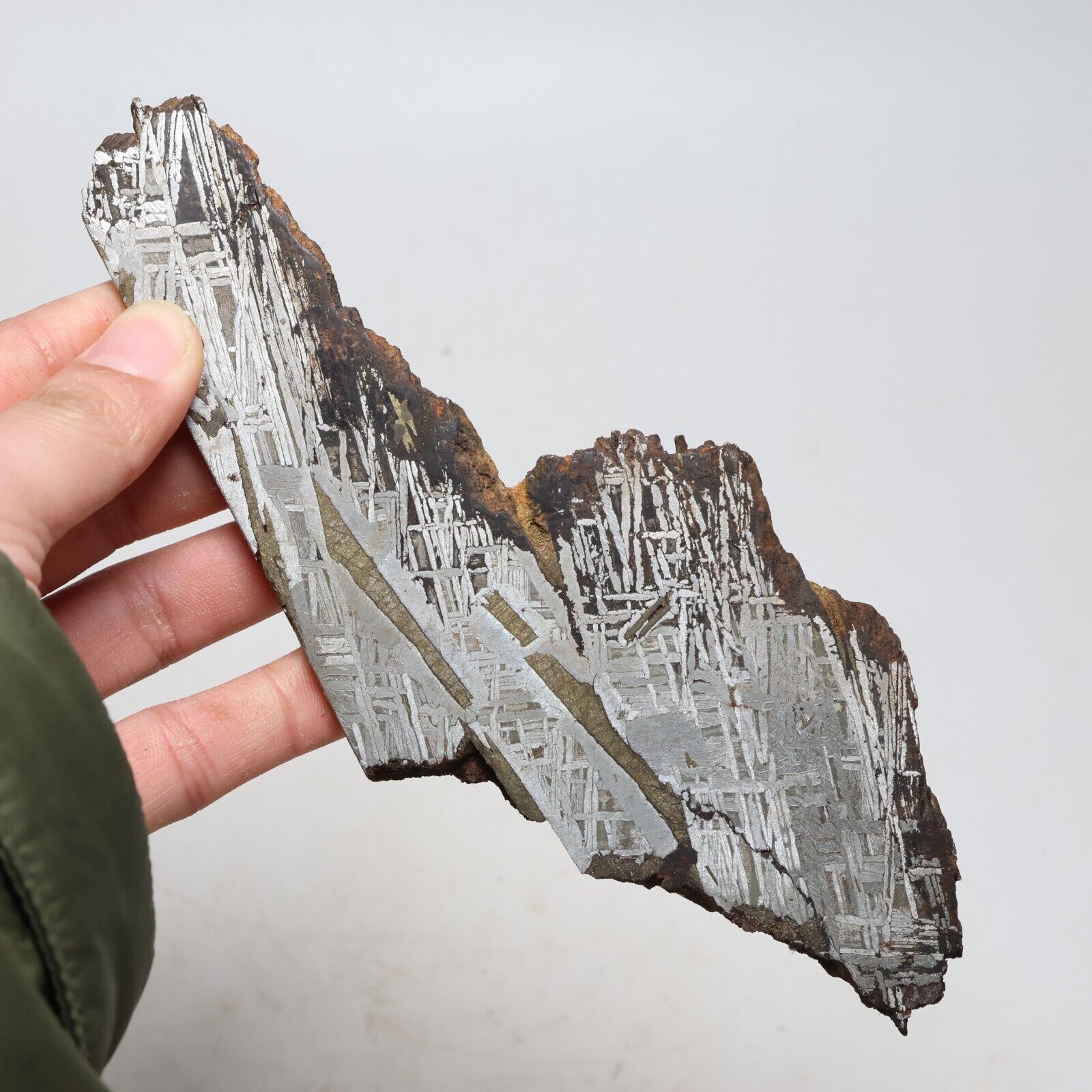 177g Muonionalusta meteorite part slice  A2137