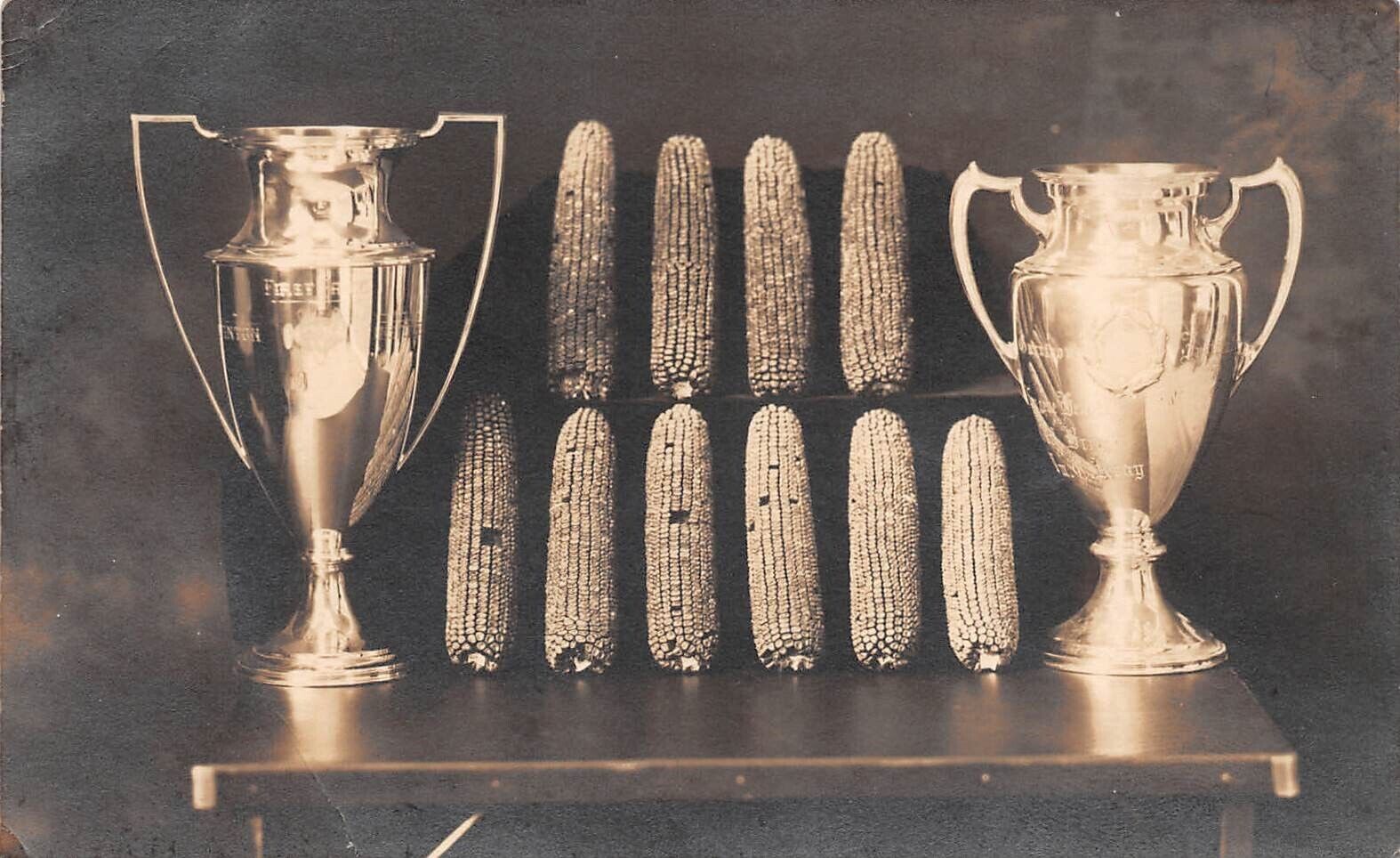 RPPC Blairstown Iowa State Fair National 10 Ear Corn 1912 Championship Postcard